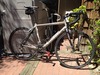 Specialized Allez photo