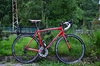 Specialized Allez Comp E5 2013 photo