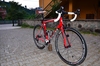 Specialized Allez Comp E5 2013 photo