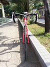 Specialized Allez Compact 2012 photo