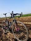 Specialized Allez E5 Multi-Keyline 2015 photo