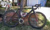 Specialized Allez Expert R.I.P. photo