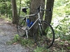 Specialized Allez Expert photo