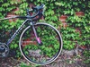 Specialized Allez smartweld photo