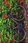 Specialized Allez smartweld photo