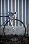 Specialized Allez Sport photo