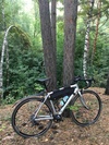 Specialized Allez Sport 2010 photo