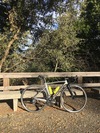 Specialized Allez Sprint photo