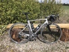 Specialized Allez Sprint photo