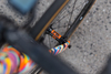 Specialized Allez Sprint Red Hook Crit photo