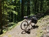 specialized AWOL expert photo