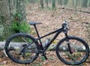 Specialized Carve SL 29 photo