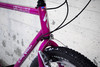 Specialized Crossroads 1993 photo