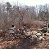 Specialized Crossroads photo