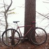 Specialized Crossroads photo