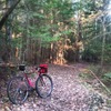 Specialized Crossroads photo