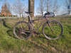 Specialized crossroads photo