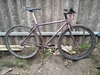 Specialized crossroads photo