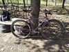 Specialized crossroads photo
