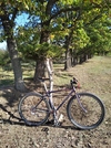 Specialized crossroads photo