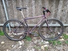 Specialized crossroads photo