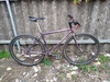 Specialized crossroads photo