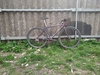 Specialized crossroads photo