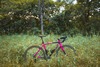 Specialized Crux - Rizzo photo