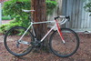 Specialized Crux photo