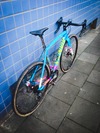 Specialized CruX e5 photo