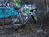 Specialized Crux photo