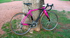 Specialized Crux - Stinky Pinky photo