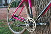 Specialized Crux - Stinky Pinky photo