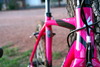 Specialized Crux - Stinky Pinky photo