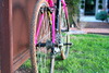 Specialized Crux - Stinky Pinky photo