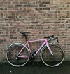 Specialized Crux Zdeněk Štybar edition photo