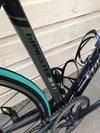 Specialized Gangster 2013 photo