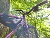 Specialized HardRock photo