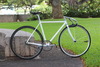 Specialized Langster Hawaii photo