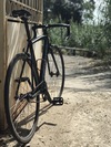 Specialized Langster 2015 photo