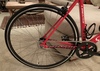 Specialized Langster photo