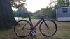 Specialized Langster Pro photo