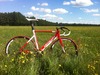 Specialized Langster Pro 2012 photo