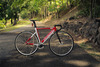 Specialized Langster Pro photo