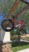 Specialized langster pro photo