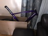 Specialized Langster Pro Candy Purple photo