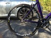 Specialized Langster Pro Candy Purple photo