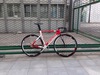 Specialized Langster Pro@CCOL photo