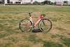 Specialized Langster Pro@CCOL photo