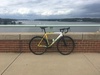 Specialized Langster Rio (not stock) photo